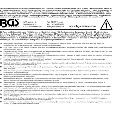 Pince-étau BGS Technic 250 Mm Pour Soudure Et Serrage - Idéal Bricolage Et Atelier - Neuf