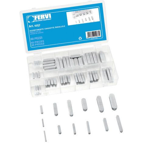 ASSORTIMENTO DI 60 CHIAVETTE PARALLELE 0257 FERVI