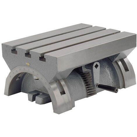Tavola basculante FERVI T004/250 per fresatrice - cava 12 mm - inclinazione ± 36°
