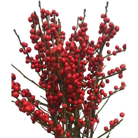Adornos Navidad Rojos Ramas De Pino Artificial Con Bayas Rojas - Decoración Navideña Perfecta (25 Unidades, 8 Cm) Adornos Para Navidad