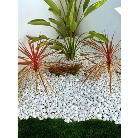 JARDIN202 - JARDIN202 - Piedras de Canto Rodado Blanco 25kg – Decoración Jardín Exterior y Macetas Tamaños 20/25, 20/40 y 40/60 mm 20/25 () 20/25 20/25 -