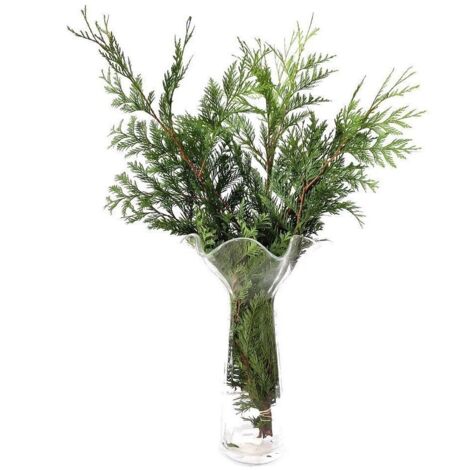 Thuja  Flor Natural  Ramo de 5 tallos  Verde  60cm de alto (1/5)