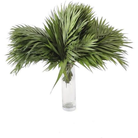 Chico Yumbo Flor Natural Ramo de 50 tallos Verde 50cm de alto