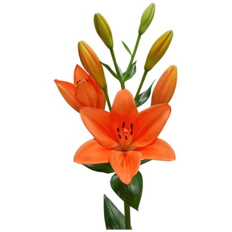 JARDIN202 - Liliums LA  Flor Natural  Ramo de 10 tallos  80cm de alto   (Naranja)
