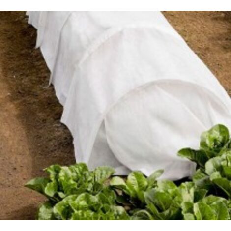 Faura - Faura - MANTO PROTECCION CULTIVOS 30gr/metro cuadrado 2 x 10 m. () 2 x 10 m. 2 x 10 m. -