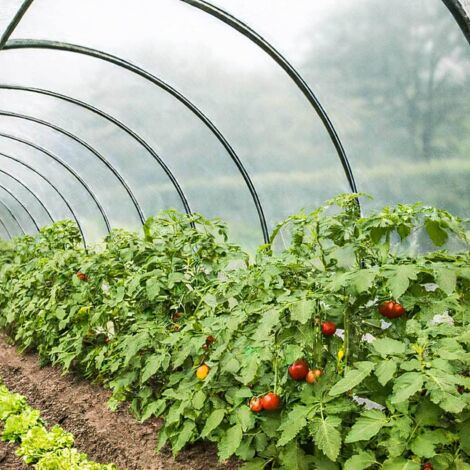 TECPLAST Bâche Serre 6x11 m 200SE - Film plastique transparent pour serre de jardin - Haute Performance - Made in France