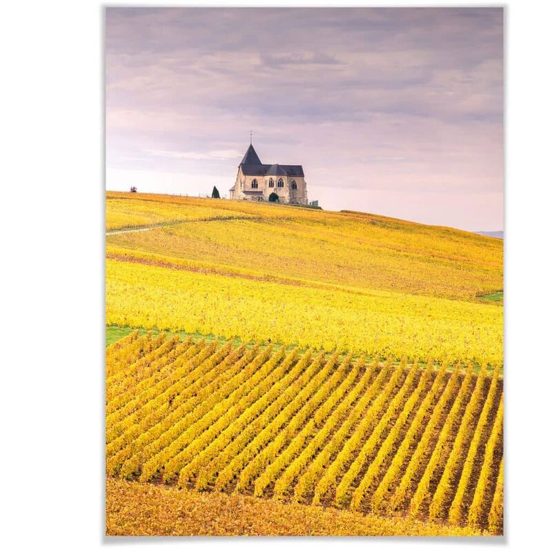 Natur Poster Landschaft Fotografie Weinfelder Champagne 24x30cm Wanddeko | Poster