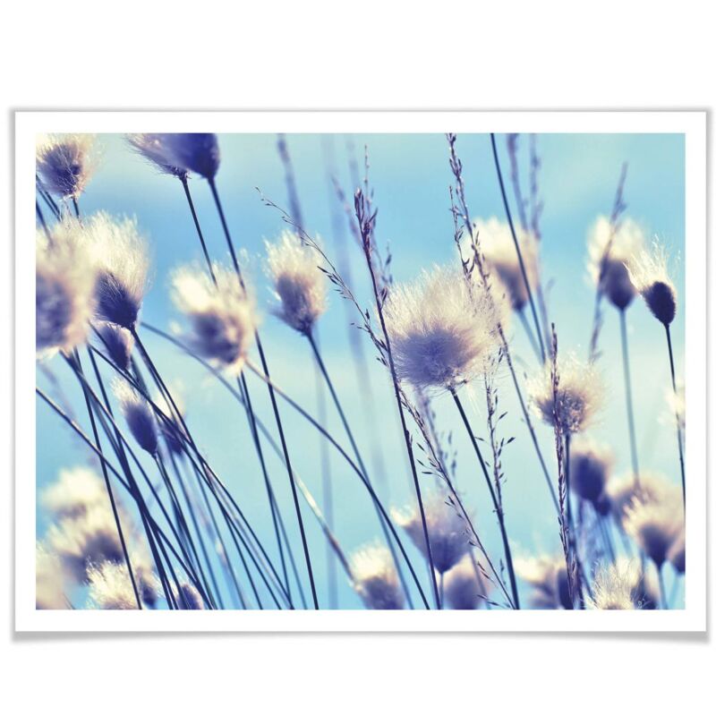 Blumen Delgado Wohnzimmer Wandposter Wind 30x24cm Wanddeko im Poster Gras