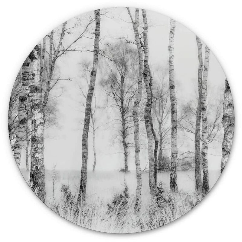 Alu-Dibond-Poster Rund Metalloptik Wandbild Birkenwald schwarz-weiß Wald  Bäume Deko Talen Ø 30cm