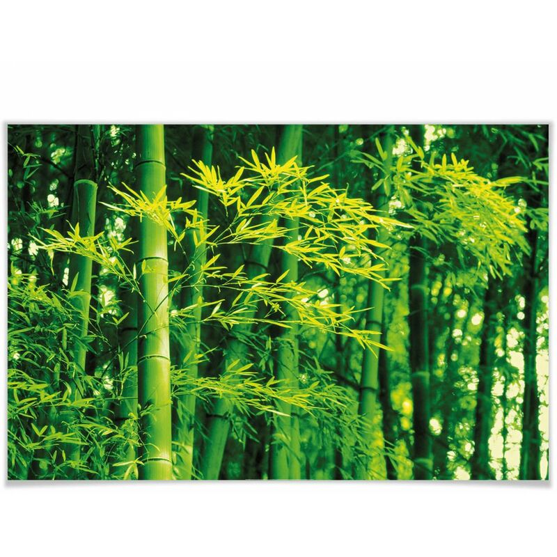 Wandposter großes Kinderzimmer 175x115cm Wald Poster XXL Natur Bambus Asiatische