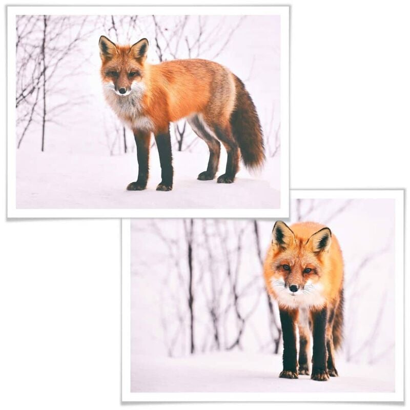 Deko Poster Waldtiere Set Fotografie Schnee im (2-teilig) wilder Fuchs 30x24cm Wohnzimmer Boho orange