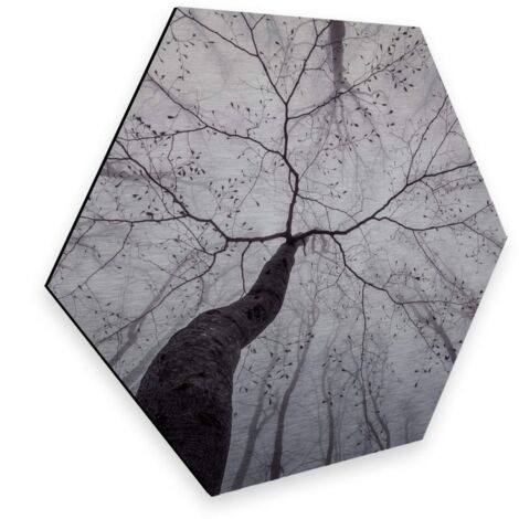 25x22 cm Silber Wandbild Natur Wohnzimmer Deko Blick in die Baumkronen