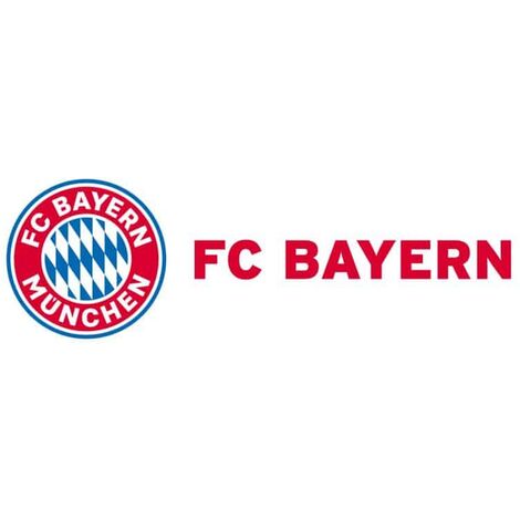 Bayern München Wandtattoo Wandbild Logo + Schriftzug Fußball 60x19cm FC FCB München