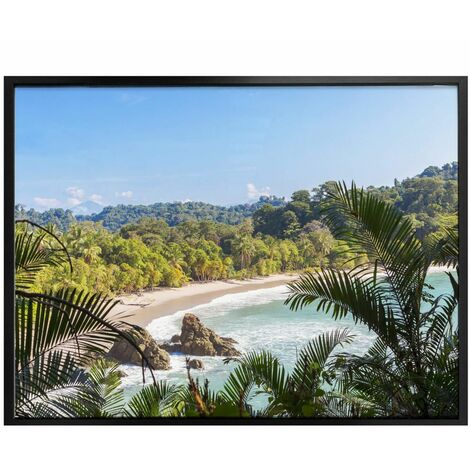 Wanddeko 30x24cm Costa Wandposter Fotografie Natur Poster Urlaub Dschungel Rica