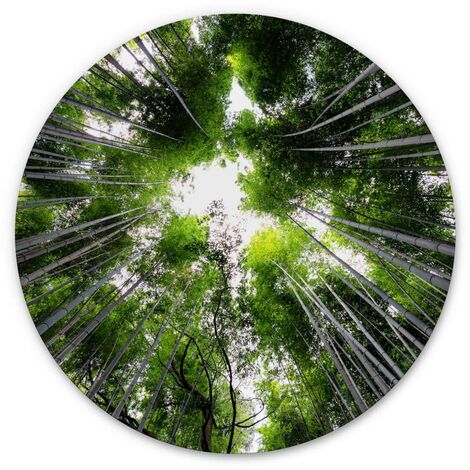 Ø des Japan Natur Hugonnard Wald 30cm Lebens Alu-Dibond-Poster Metalloptik Rund Baum Wandbild