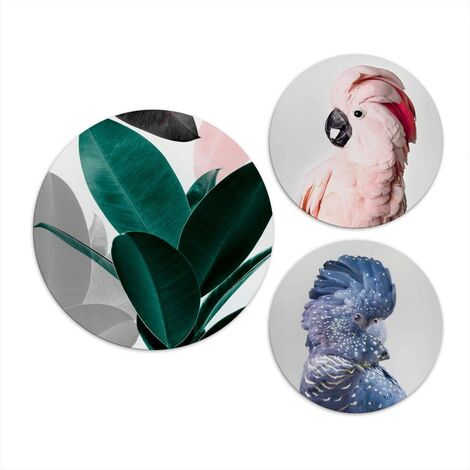 Alu-Dibond-Poster Rund Metalloptik Wandbild Dschungel Vogel Paradies 3er Sisi&Seb Set Kakadu