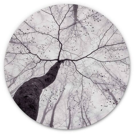 Alu-Dibond-Poster Rund Metalloptik Wandbild Baumkronen Blick Bäume des  Lebens Wald Pavlasek Ø 30cm