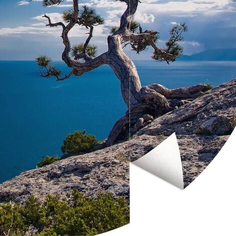 Wandbild Baum blauer Vliestapete Himmel 140cm Meer am Runde Fototapete Tapete Ø