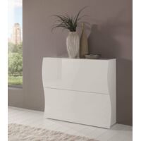 Dmora Zapatero moderno, Made in Italy, con 2 puertas abatibles, Zapatero de entrada, 101x27h82 cm, color blanco brillante, con embalaje reforzado