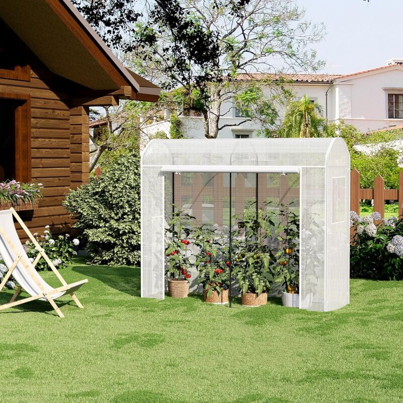 WOLTU Serre De Jardin Tunnel 170x68x200cm - Tube Acier Galvanisé, PE 140g/㎡, 2 Fenêtres Et Porte Zippée