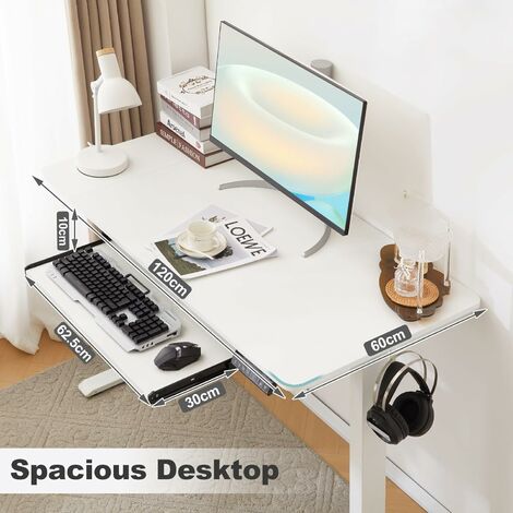 Bureau Assis Debout WOLTU, 100x60cm, Bureau Réglable en Hauteur 72-120cm, avec Port USB, 4