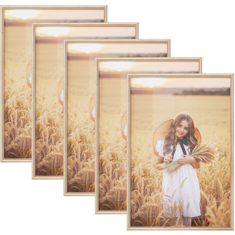 Lot de 5 Cadre Photo 40x60 cm WOLTU, Cadre en Bois Massif, Décoration Murale ou sur Table, avec Passe Partout, Doré (1/5)