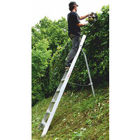 Scala agricola a 8 pioli con punta - Lunghezza 3.75m - SCA1969/08-SCCSTO