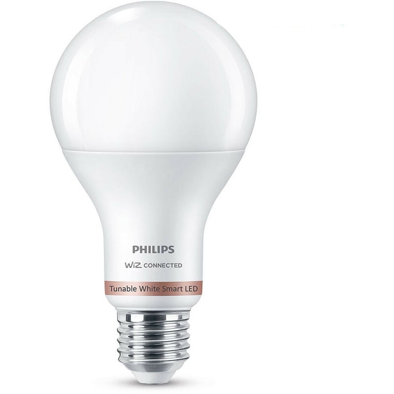 PHILIPS HUE Ampoule Smart White Filament Globe Blanc chaud E27 7 W
