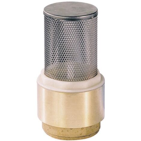 Clapet anti-retour avec crépine inox - Femelle/Femelle - Série 310 26x34
