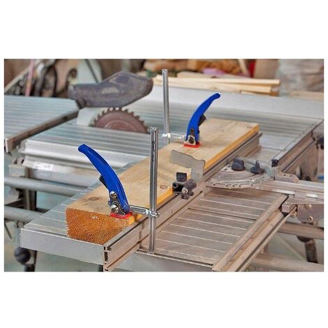 Serre-joint TPAL TPAL - 12X6 cm
