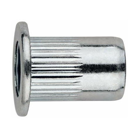Index – Lot de 250 écrous à sertir tête large M6 x 14 mm zingué – Pour aluminium et tôle – Fixations solides pour assemblage de tôles - TRCA0614