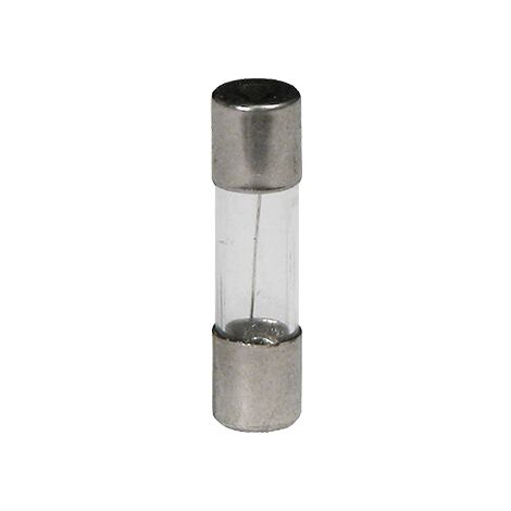 Fusible verre 5x20 rapide - 250 V 125mA
