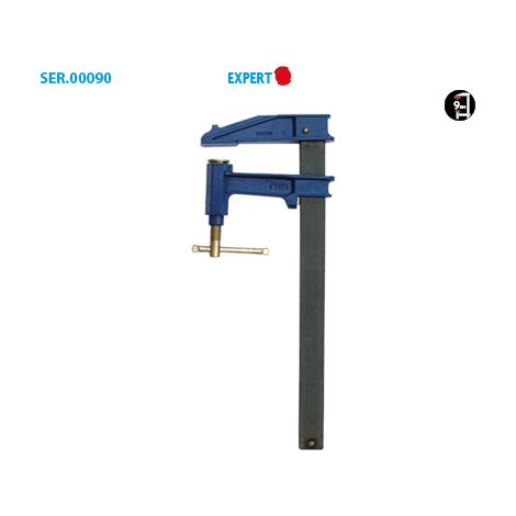 Serre-joint à pompe Expert Saillie 120 Section 35 X 8 Serrage 1000