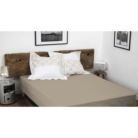 Drap housse uni coton 57 fils beige 140x190 cm bonnet 35 cm (1/4)