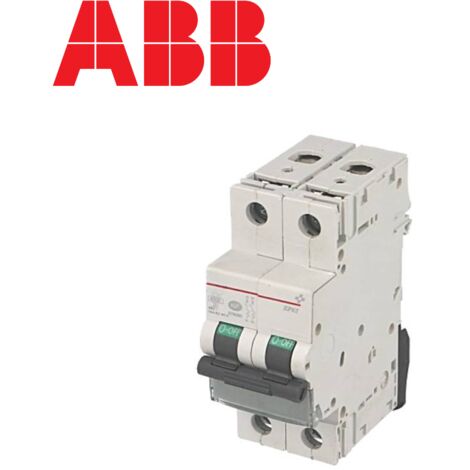 Disjoncteur Bipolaire Merlin Gerin C60N – 16A + Différentiel 30mA Courbe C