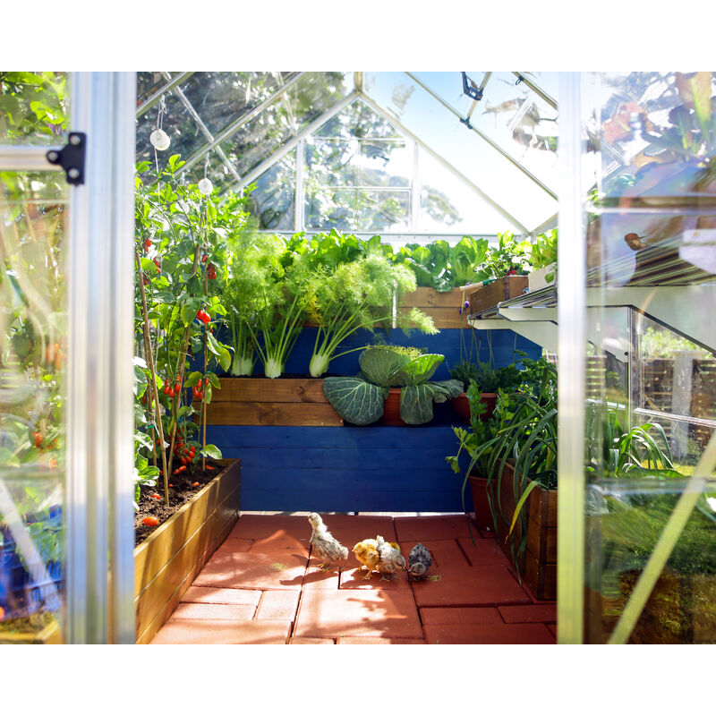 Palram - Canopia Harmony Invernadero De Jardín Policarbonato Transparente  426X185X208 cm Plateado en Planeta Huerto
