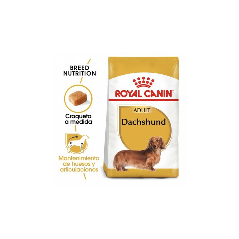 Pienso Para Perros royal canin 1.5kg seco teckel razas pequeñas adulto dachsund saco de 15