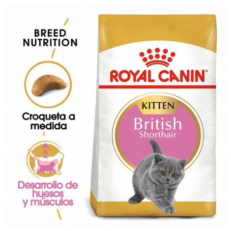 Royal Canin Kitten Sterilised - Piensoymascotas Formato Pack 12 x Bolsa de  85 gr