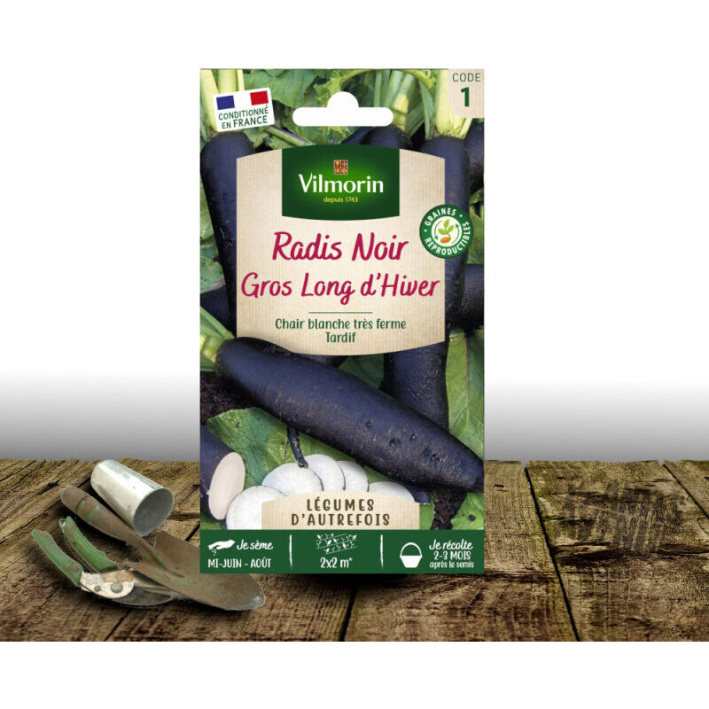 Graines De Radis Rave Noir Gros Long Hiver De Paris - Jardiland