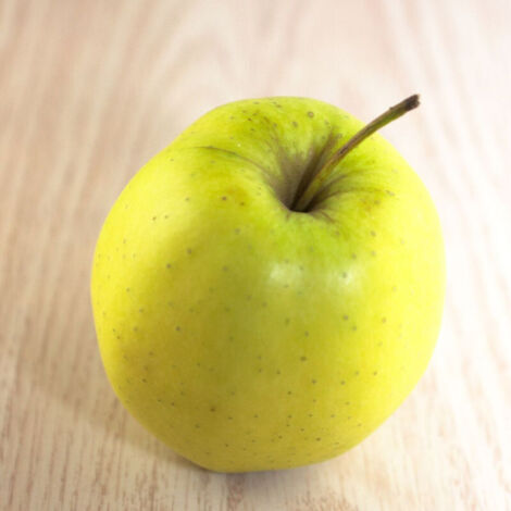 Pommier Golden Delicious/Pot de 15L (1/5)