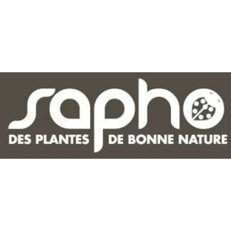 Eucalyptus France Bleu® 'Rengun'/Pot de 3L