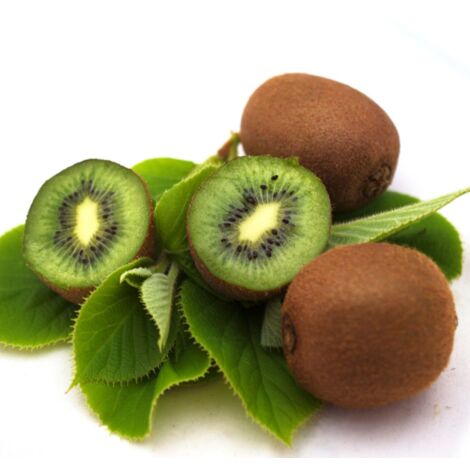 Kiwi chinensis Solo (autofertile)/Pot de 1,5L