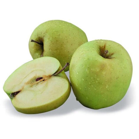 Pommier nain domestica/Pot de 5L