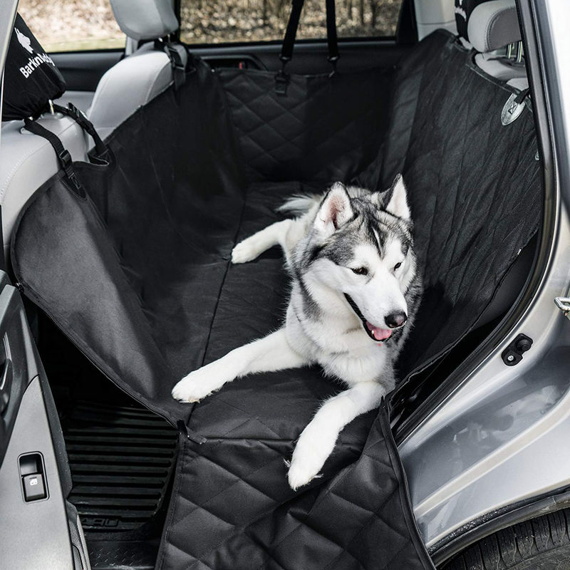 BingoPaw Siège Auto Chien Voiture: Sac de Transport pour Chat