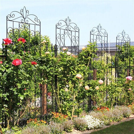 ZYFA Clôture de Treillis Jardin Fer Support pour Plantes grimpantes en  métal clôture Grille tuteur pour Plante grimpante, Jardins, potagers,  Bordures de pelouses : : Jardin