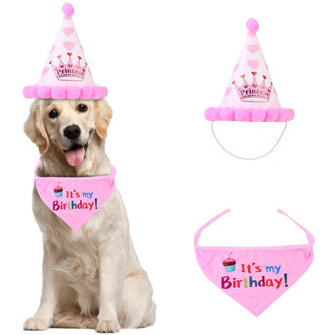 Td260 Chapeau D Anniversaire Pour Chien Chapeau De Fete D Anniversaire Pour Animaux De Compagnie Couronne