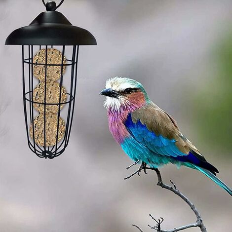 WONDERMAKE Vogelhaus wetterfest zum Aufhängen, Metall