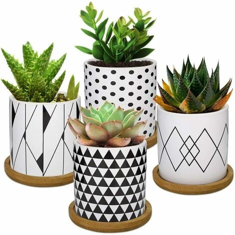4 STÜCKE Blumentopf, 2,8 Zoll Mini Keramik Sukkulente Gartenbautöpfe  Pflanzer mit Bambus Tablett für kleine