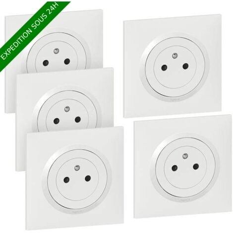 Prise femelle encastrée 2P+E double de surface Fontini Neo Evo 16A 2  modules avec broche de terre et cadre blanc, Interrupteurs et prises en  saillie