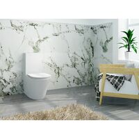Stand-WC inkl. Spülkasten und Soft-Close Sitz BTWS-6012